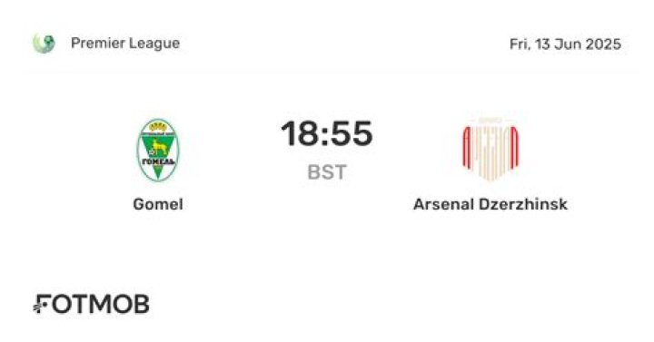 Analisis Dampak Pertandingan Arsenal Dzerzhinsk vs Gomel Terhadap Klasemen Vysshaya Liga 2026