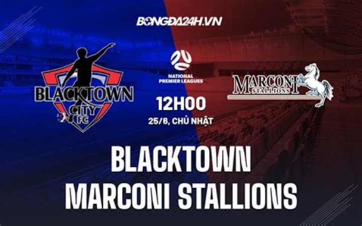 Blacktown City vs Marconi Stallions 2-0: J. Armson Jadi Pemantik Kemenangan di NPL New South Wales 2026
