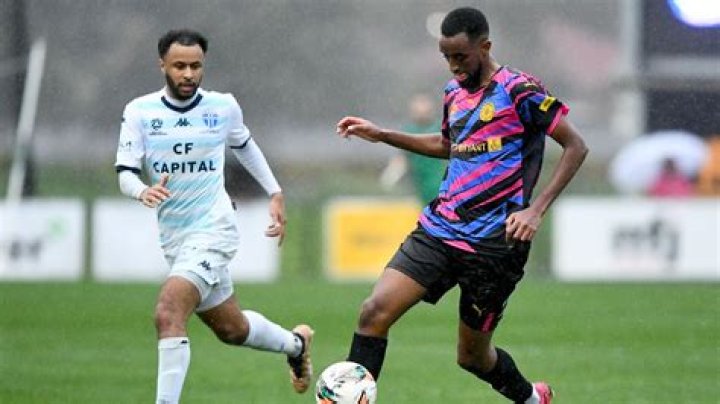 Analisis Fan Pulse: Prediksi Suporter Terhadap Hasil Akhir Dandenong City FC vs Avondale FC (NPL Victoria Men 2026)