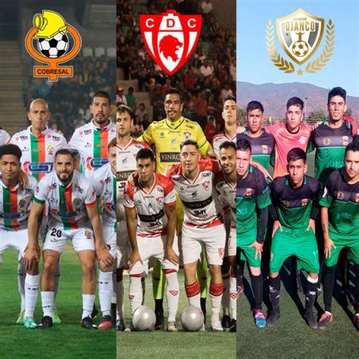 Fan Sentiment Club Deportes Antofagasta vs Cobresal: Verdict Komunitas Copa Chile 2026