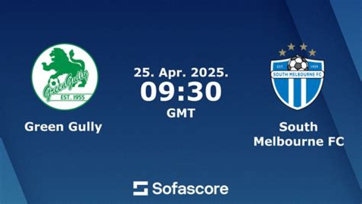 Review Skor Akhir Green Gully vs South Melbourne FC 1-2: Dua Gol Tandang Mengunci Drama NPL Victoria Men