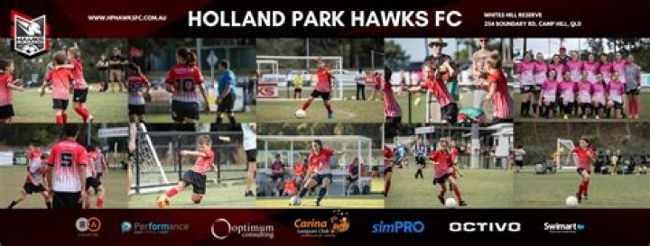 <strong>Dekonstruksi Taktis: Kapan Formasi Logam vs Hawks Mematikan di Liga 1 Queensland Premier League 1 2026</strong>