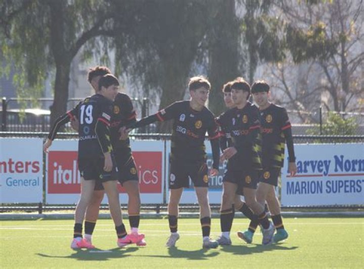 Analisis Lineup Para Hills vs North Eastern MetroStars: Bagaimana Formasi Menentukan Nasib Laga NPL South Australia