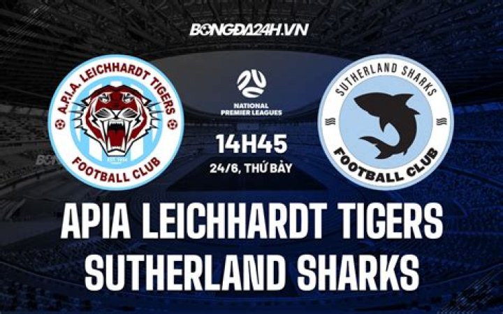 Analisis Dampak Susunan Pemain: University of NSW vs Sutherland Sharks – NPL New South Wales 2026
