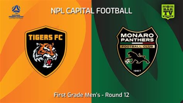 Monaro Panthers vs Tigers FC: Analisis Kepuasan Fans & Community Verdict NPL Capital Football 2026