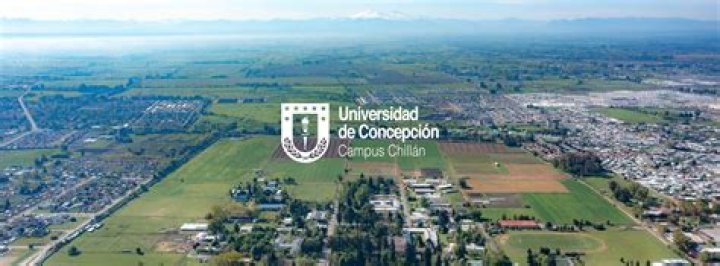 Ñublense vs Universidad de Concepción Copa Chile 2026: Analisis Momentum & Prediksi Matchday Hype