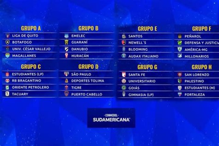 Sentimen Penggemar & Vonis Komunitas: Evaluasi Laga Palestino vs Audax Italiano