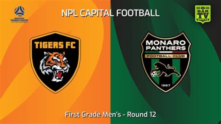 Analisis Taktik Monaro Panthers vs Tigers FC: Mengapa Kontrol Lapangan Gagal Terbentuk di NPL Capital Football 2026